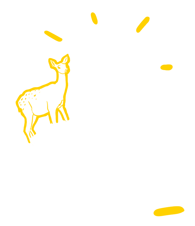 utdutd